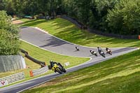 brands-hatch-photographs;brands-no-limits-trackday;cadwell-trackday-photographs;enduro-digital-images;event-digital-images;eventdigitalimages;no-limits-trackdays;peter-wileman-photography;racing-digital-images;trackday-digital-images;trackday-photos